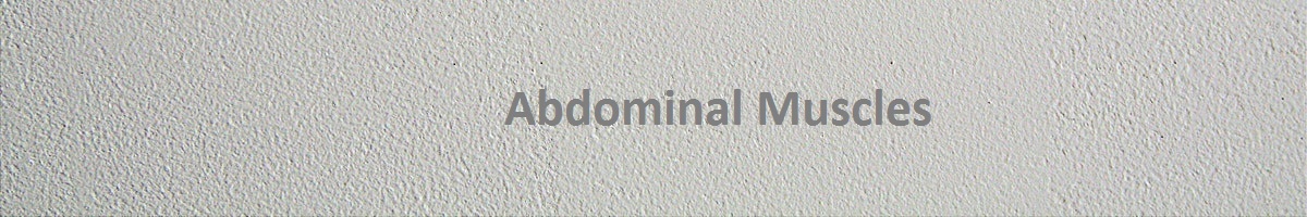 Abdominal Muscles